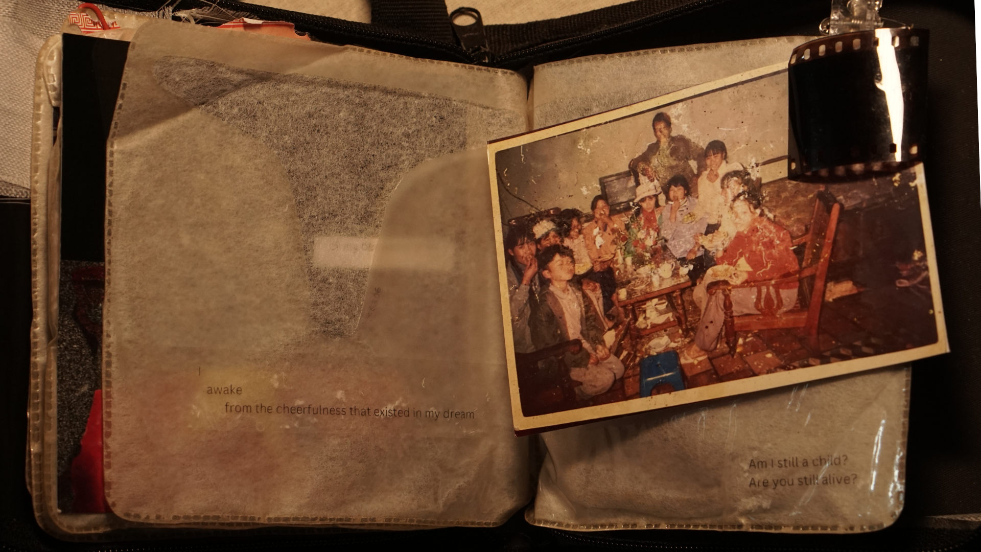 (signed) This Is Not What Thought / Yuri Hasegawa